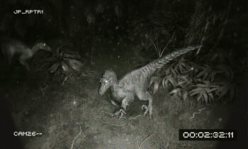 claws dinosaur edouard_groult feathers fern forest from_above glowing glowing_eyes highres jurassic_park looking_at_viewer nature night night_vision no_humans tree user_interface velociraptor