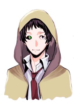 Rule 34 | 1boy, adachi tooru, ajirostudio, alternate eye color, black hair, closed mouth, collared shirt, commentary request, green eyes, grey eyes, heterochromia, highres, hood, hood up, looking at viewer, male focus, mismatched sclera, necktie, persona, persona 4, raincoat, red necktie, shirt, short hair, simple background, solo, upper body, white background, white shirt, yellow raincoat