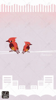 animal_focus beak bird building closed_mouth fletchinder full_body gen_6_pokemon highres meme_(sleepsheep) nintendo no_humans pokemon pokemon_(creature) pokemon_focus power_lines tail talons