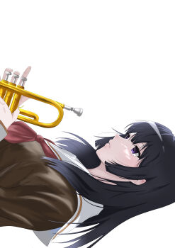 Rule 34 | 1girl, absurdres, black hair, brown shirt, commentary, from side, hibike! euphonium, highres, holding, holding instrument, instrument, kitauji high school uniform, kousaka reina, long hair, long sleeves, neckerchief, parted lips, purple eyes, red neckerchief, sa enasi, sailor collar, school uniform, serafuku, shirt, sideways, simple background, solo, trumpet, white background, white sailor collar