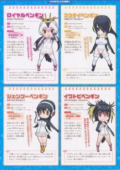4girls emperor_penguin_(kemono_friends) full_body gentoo_penguin_(kemono_friends) kemono_friends kemono_friends_2 looking_at_viewer multiple_girls official_art rockhopper_penguin_(kemono_friends) royal_penguin_(kemono_friends) simple_background yoshizaki_mine