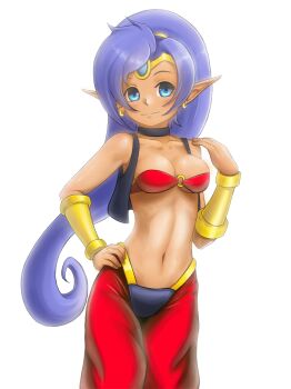 Rule 34 | 1girl, arabian clothes, bandeau, blue eyes, breasts, choker, cleavage, dark-skinned female, dark skin, earrings, female focus, finalcake, forehead jewel, hand on own hip, harem pants, highres, jewelry, long hair, lots of jewelry, midriff, open clothes, open vest, pants, pointy ears, ponytail, purple hair, shantae, shantae (series), smile, solo, tiara, very long hair, vest, wayforward