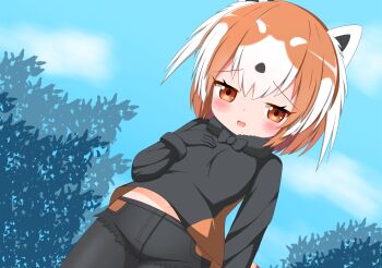 1girl :d black_bow black_bowtie black_gloves black_hair black_pantyhose black_shirt black_shorts blue_sky blush bow bowtie brown_eyes brown_hair cloud day dutch_angle fur_collar gloves hair_between_eyes half-closed_eyes hand_up highres kemono_friends looking_at_viewer multicolored_hair open_mouth outdoors pantyhose pantyhose_under_shorts red_panda_(kemono_friends) red_panda_ears red_panda_girl red_panda_tail shin01571 shirt short_shorts shorts sky smile solo two-tone_hair white_hair