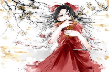 1girl aowu6109 black_eyes black_hair bow branch chinese_commentary commentary_request curtained_hair detached_sleeves flower frilled_bow frills from_above hair_bow hair_spread_out hakurei_reimu hand_on_own_chest hand_on_own_stomach highres holding holding_branch knee_up long_hair looking_at_viewer lying on_back on_ground orange_scarf parted_lips plum_blossoms red_bow red_skirt red_vest ribbon-trimmed_sleeves ribbon_trim scarf skirt snow solo touhou vest white_sleeves wide_sleeves