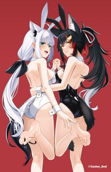 2girls :d animal_ear_fluff animal_ears ass asymmetrical_docking barefoot black_hair black_leotard blue_eyes breast_press breasts casino_(casinoep) clothing_cutout fake_animal_ears feet fox_ears fox_tail from_behind hair_ribbon highres holding_hands hololive leotard long_hair medium_breasts multicolored_hair multiple_girls ookami_mio open_mouth playboy_bunny ponytail rabbit_ears red_background red_eyes ribbon shirakami_fubuki smile soles standing standing_on_one_leg streaked_hair tail tail_through_clothes toes very_long_hair virtual_youtuber white_hair white_leotard wolf_ears wolf_girl