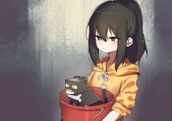 1girl black_cat black_hair blush bucket cat cat_(minecraft) closed_mouth commentary english_commentary green_eyes hair_between_eyes highres holding holding_bucket hood hoodie hoplitx long_hair minecraft orange_hoodie original ponytail simple_background upper_body