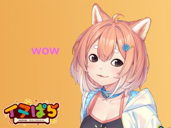 1girl :3 ahoge animal_ears antenna_hair blush breasts brown_eyes cleavage collar dog_ears dog_girl doge english_text flower hair_flower hair_ornament hairclip himawari_(inupara) inupara jacket meme non-web_source orange_hair sayori_(neko_works) shiba_inu simple_background thick_eyebrows wow
