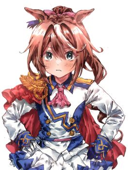 Rule 34 | 1girl, absurdres, animal ears, ascot, asymmetrical gloves, blue eyes, blush, bow, brown hair, commentary request, ear bow, ear ornament, ear ribbon, epaulettes, gloves, hair between eyes, high ponytail, highres, horse ears, horse girl, horse tail, long hair, long sleeves, looking at viewer, mismatched gloves, multicolored hair, pink ascot, ponytail, senao 978, shirt, single epaulette, skirt, solo, streaked hair, tail, tokai teio (peak joy) (umamusume), tokai teio (umamusume), two-tone hair, umamusume, white hair