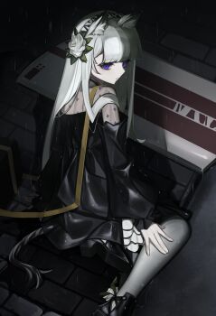 1girl absurdres animal_ear_fluff animal_ears arknights black_boots black_dress blunt_bangs boots brick_road closed_mouth commentary_request dress expressionless flower grey_hair hair_flower hair_ornament hairband hand_on_own_leg heavyrain_(arknights) heavyrain_(tranquil_moss)_(arknights) highres horse_ears long_hair long_sleeves looking_at_viewer looking_back official_alternate_costume on_ground outdoors pantyhose puddle purple_eyes rain rose sitting solo striped_clothes striped_hairband water white_flower white_rose yamada_maya_(yamdmay) zebra_ears zebra_girl zebra_tail