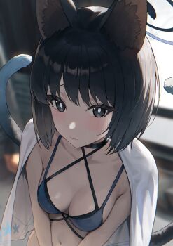 1girl animal_ears bikini black_eyes black_hair blue_archive blue_bikini blue_halo breasts bright_pupils cat_ears cat_girl cat_tail closed_mouth collarbone commentary_request halo highres kikyou_(blue_archive) kikyou_(swimsuit)_(blue_archive) looking_at_viewer medium_breasts multiple_tails official_alternate_costume short_hair solo suumon swimsuit tail white_pupils