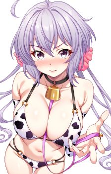 1girl ahoge animal_collar animal_print armpit_crease bell between_breasts bikini blush breasts closed_mouth collar commentary_request cow_print cow_print_bikini cowbell embarrassed full-face_blush groin hair_between_eyes hair_ornament hair_scrunchie highres holding_own_leash large_breasts lips long_hair looking_at_viewer navel print_bikini purple_eyes purple_hair scrunchie senki_zesshou_symphogear sho2 simple_background solo stomach swimsuit twintails very_long_hair yukine_chris