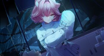 Rule 34 | 1girl, absurdres, animal ear fluff, animal ears, breasts, cho 913, closed mouth, commentary, dress, hair over one eye, hand up, highres, hololive, hololive english, indoors, large breasts, looking at viewer, panther ears, panther girl, panther tail, pink hair, raora panthera, short hair, sleeves past fingers, sleeves past wrists, solo, strait, untranslatable commentary, tail, turtleneck, turtleneck dress, virtual youtuber, white dress, white streaks, yellow eyes