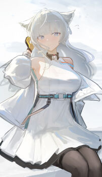 Rule 34 | 1girl, absurdres, animal ears, arknights, arknights: endfield, arm up, backlighting, bare shoulders, black gloves, blue eyes, blush, breasts, brown pantyhose, ciexbiet, closed mouth, commentary request, day, dress, feet out of frame, flying sweatdrops, gloves, highres, jacket, long hair, long sleeves, looking at viewer, medium breasts, off shoulder, open clothes, open jacket, outdoors, pantyhose, perlica (arknights), raised eyebrows, sitting, smile, solo, thigh strap, two-tone gloves, underbust, white dress, white hair, white jacket, yellow gloves