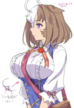 1girl ahoge ajino_(sakanahen) animal_ears bag between_breasts blue_dress blush breasts brown_hair closed_mouth double-parted_bangs dress hair_between_eyes hairband headband horse_ears horse_girl large_breasts long_sleeves meisho_doto_(turbulent_blue)_(umamusume) meisho_doto_(umamusume) multicolored_hair pink_hairband pink_headband purple_eyes short_hair shoulder_bag simple_background strap_between_breasts two-tone_hair umamusume upper_body white_background white_dress white_hair