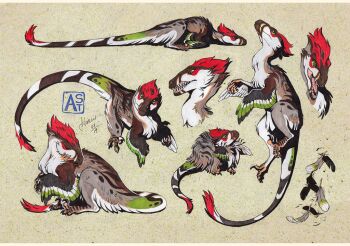 animal_focus artist_name astarcis claws closed_mouth dinosaur dynamic_pose fangs feathered_dinosaur feathers full_body multicolored_feathers multiple_views no_humans open_mouth original raptor red_feathers reference_sheet sharp_teeth simple_background tail teeth velociraptor watermark