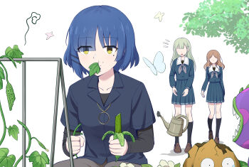 3girls anglediana arms_at_sides asymmetrical_bangs bang_dream! bang_dream!_it&#039;s_mygo!!!!! black_socks blue_hair blue_serafuku blue_shirt blue_skirt bocchi_the_rock! brown_hair bug butterfly chinese_commentary chomper_(plants_vs._zombies) commentary_request crossover dropping eating faceless faceless_female grey_hair grey_neckerchief hair_ornament hairclip highres holding holding_plant insect kneehighs layered_sleeves leaf_in_mouth loafers long_hair long_sleeves mole mole_under_eye motion_lines multiple_girls nagasaki_soyo neckerchief notice_lines parallel_hairclips plant plants_vs._zombies pleated_skirt sailor_collar school_uniform serafuku shirt shoes short_hair short_over_long_sleeves short_sleeves simple_background skirt socks squiggle standing straight_hair surprised tsukinomori_school_uniform undershirt wakaba_mutsumi wall-nut_(plants_vs._zombies) watering_can white_background white_sailor_collar yamada_ryo yellow_eyes