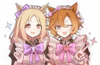 2girls alternate_costume animal_ears apron blonde_hair bow breasts brown_eyes buttons ear_ribbon flustered gloves hair_between_eyes happy horse_ears horse_girl light_blush long_sleeves looking_at_viewer maid maid_apron medium_breasts multiple_girls narita_top_road_(umamusume) one_eye_closed operajoshi orange_hair pink_ribbon puffy_sleeves purple_eyes ribbon short_hair short_sleeves simple_background star_(symbol) star_ornament t.m._opera_o_(umamusume) teeth umamusume umamusume:_road_to_the_top upper_body upper_teeth_only v v-shaped_eyebrows white_background white_gloves