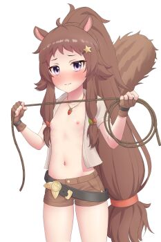 Rule 34 | 1girl, absurdres, animal ears, blush, flat chest, highres, lasso, nipples, princess connect!, purple eyes, ribs, rin (princess connect!), ruinone, solo, stomach, tail