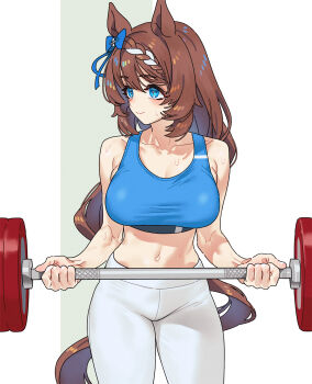 1girl animal_ears barbell blue_eyes blue_sports_bra blush braid braided_bangs breasts brown_hair brown_tail cleavage closed_mouth collarbone commentary exercising highres horse_ears horse_girl horse_tail large_breasts long_hair looking_to_the_side multicolored_hair navel pants sarcophage smile solo sports_bra stomach streaked_hair super_creek_(umamusume) sweat tail umamusume weightlifting white_pants white_streaks
