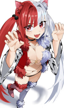 1girl absurdres animal_ears black_panties blush bow breasts choker cleavage cropped_jacket fate/grand_order fate_(series) fur-trimmed_thighhighs fur_collar fur_trim hair_bobbles hair_ornament highres jacket large_breasts long_hair long_sleeves looking_at_viewer ma_ple mash_kyrielight mash_kyrielight_(dangerous_beast) matsunaga_hisahide_(fate) multicolored_hair navel o-ring open_mouth panties red_eyes red_hair red_jacket red_thighhighs smile solo split-color_clothes split-color_hair sweatdrop thighhighs twintails underwear white_hair white_sleeves white_thighhighs wide_sleeves wolf_ears