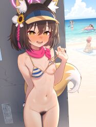 4girls animal_ear_fluff animal_ears beach bikini bikini_top_lift bikini_top_only blue_archive blue_bikini blush bottomless breasts brown_hair chise_(blue_archive) chise_(swimsuit)_(blue_archive) clothes_lift commentary_request cowboy_shot day embarrassed female_pubic_hair flashing flower fox_ears fox_girl fox_tail hair_flower hair_ornament halo izuna_(blue_archive) izuna_(swimsuit)_(blue_archive) lifting_own_clothes looking_at_viewer mimori_(blue_archive) mimori_(swimsuit)_(blue_archive) multiple_girls navel nipples ocean official_alternate_costume open_mouth orange_eyes outdoors paid_reward_available pink_halo pink_scarf pubic_hair scarf shizuko_(blue_archive) shizuko_(swimsuit)_(blue_archive) short_hair small_breasts solo_focus special_cat striped_bikini striped_clothes sweat swimsuit tail teeth variant_set visor_cap yellow_eyes