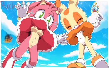 2girls amy_rose buckhori159 cream_the_rabbit green_eyes loli multiple_girls nipples nude pussy sonic_(series) upskirt