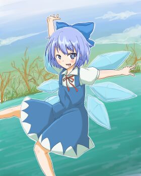 1girl cirno nizikuroryu solo tagme touhou
