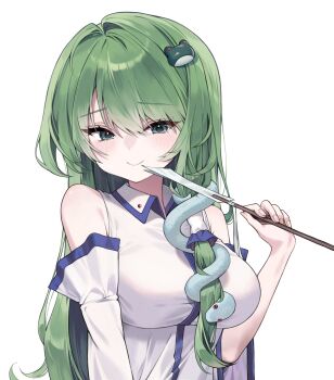 1girl absurdres bare_shoulders closed_mouth collared_shirt commentary detached_sleeves frog_hair_ornament gohei green_eyes green_hair hair_ornament hair_tubes highres holding holding_gohei kochiya_sanae long_hair looking_at_viewer portrait pudding_(skymint_028) shirt simple_background single_hair_tube sleeveless sleeveless_shirt smile snake_hair_ornament solo symbol-only_commentary touhou white_background white_shirt white_sleeves