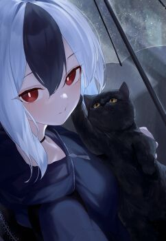 1girl absurdres backpack bag black_cat black_choker black_hair black_hoodie blue_archive blush bright_pupils cat choker closed_mouth from_side highres hood hood_down hoodie kayoko_(blue_archive) kuchisode long_hair looking_at_viewer looking_to_the_side multicolored_hair rain red_eyes solo transparent transparent_umbrella two-tone_hair umbrella upper_body white_hair