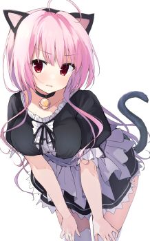 1girl absurdres ahoge animal_ears apron bell black_choker black_ribbon black_shirt black_skirt blush breasts cat_ears cat_tail center_frills choker collarbone commentary_request cowboy_shot daitoshokan_no_hitsujikai eyes_visible_through_hair fake_animal_ears fake_tail floating_hair frilled_shirt frilled_skirt frilled_sleeves frills frown hair_between_eyes hands_on_own_thighs highres jingle_bell large_breasts leaning_forward long_hair looking_at_viewer maid neck_bell open_mouth pink_hair puffy_short_sleeves puffy_sleeves red_eyes ribbon shirt short_sleeves sidelocks simple_background skirt solo tail tail_raised takepoison thighhighs toki_nozomi tsurime v-shaped_eyebrows waist_apron white_apron white_background white_thighhighs zettai_ryouiki
