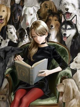 1girl bingi black_bow black_dress blonde_hair blue_eyes bow chair choker cover cover_page dog dress english_text hair_over_shoulder highres light_smile looking_at_viewer multiple_dogs on_chair original pantyhose pet reading red_pantyhose sitting smile surrounded too_many too_many_dogs