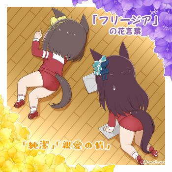 2girls air_groove_(umamusume) all_fours animal_ears blue_bow bow brown_hair buruma capriccyo chibi clothing_cutout commentary_request ear_bow flower highres horse_ears horse_girl horse_tail jacket long_hair lying mejiro_dober_(umamusume) multiple_girls on_floor on_side purple_flower red_buruma red_jacket shoe_soles shoes short_hair small_sweatdrop socks sweat tail tail_through_clothes track_jacket translation_request umamusume very_long_hair white_shoes white_socks wooden_floor yellow_bow yellow_flower