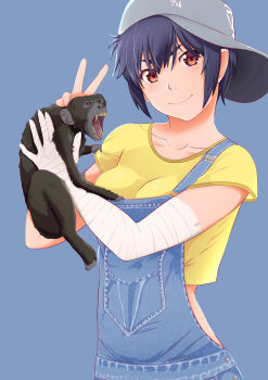 1girl animal bakemonogatari bandaged_arm bandages baseball_cap blue_background blue_overalls breasts brown_eyes closed_mouth clothes_grab collarbone commentary crop_top cropped_shirt denim english_commentary grey_hat hair_between_eyes hair_strand hat head_tilt highres holding holding_animal kanbaru_suruga light_blush looking_at_viewer medium_breasts midriff_peek monkey monogatari_(series) nekosuta overalls purple_hair sharp_teeth shirt shirt_grab short_hair short_sleeves sideways_hat simple_background smile solo standing teeth thick_eyebrows tomboy upper_body v v-shaped_eyebrows very_short_hair yellow_shirt