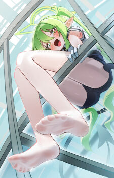 1girl :d absurdres black_shorts blue_archive blush commentary demon_girl demon_tail fang feet foot_focus from_below full_body gloves green_hair green_halo halo highres knees_together_feet_apart legs long_hair looking_at_viewer looking_down no_shoes nozomi_(blue_archive) open_mouth pantyhose pointy_ears shirt shorts sitting skin_fang smile soles solo tail thighs toes twintails very_long_hair white_gloves white_pantyhose white_shirt whonyang yellow_eyes