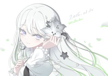 Rule 34 | 1girl, bang dream!, bang dream! our notes, closed mouth, commentary request, dated, flower, frilled sleeves, frills, goanchor, grey flower, hair flower, hair ornament, hand on own chest, hand up, highres, shiomi hotaru, shirt, simple background, smile, solo, twitter username, white background, white eyes, white flower, white hair, white shirt