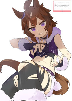 Rule 34 | 1girl, absurdres, animal ears, black gloves, black shirt, black thighhighs, blue eyes, brown hair, commentary request, cropped jacket, ear ornament, fang, fingerless gloves, fur-trimmed gloves, fur-trimmed jacket, fur-trimmed shorts, fur trim, gloves, grin, highres, horse ears, horse girl, horse tail, jacket, looking at viewer, midriff, multicolored hair, open clothes, open jacket, shinko windy (umamusume), shinko windy (wicked punk) (umamusume), shirt, short hair, shorts, simple background, smile, solo, streaked hair, tail, tetra (ktet4 illu), thighhighs, torn clothes, torn shirt, torn thighhighs, umamusume, white background, white hair, white streaks