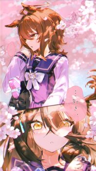 Rule 34 | 2girls, :<, absurdres, agnes tachyon (umamusume), ahoge, animal ears, black hair, blush, box, brown hair, cherry blossoms, confession, ear tag, hair between eyes, heart, heart-shaped box, highres, horse ears, horse girl, horse tail, kumano iroha, long hair, long hair between eyes, long sleeves, manhattan cafe (umamusume), medium hair, multiple girls, outdoors, purple sailor collar, purple shirt, red eyes, sailor collar, school uniform, shirt, speech bubble, tail, tracen school uniform, translation request, umamusume, upper body, yellow eyes