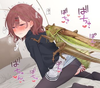 1girl bar_censor bed bestiality blush breasts brown_eyes brown_hair bug censored clothed_sex clothing_aside grasshopper heart higuchi_madoka idolmaster idolmaster_cinderella_girls insect japanese_text looking_at_viewer medium_breasts medium_hair neku_oneneko on_bed panties panties_aside pussy sex sex_from_behind speech_bubble thought_bubble underwear vaginal white_panties