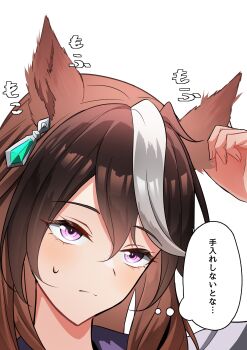 1girl absurdres animal_ears brown_hair close-up commentary_request ear_ornament hair_between_eyes highres horse_ears horse_girl kuz_admiral313 multicolored_hair purple_eyes simple_background solo streaked_hair symboli_rudolf_(umamusume) umamusume white_background white_hair