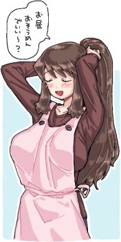 Rule 34 | 1girl, alternate costume, apron, blue background, blush, breasts, brown hair, brown shirt, closed eyes, cookie (touhou), cowboy shot, hakurei reimu, high ponytail, large breasts, long hair, man (man-room), noel (cookie), open mouth, pink apron, ponytail, shirt, simple background, smile, solo, touhou, translation request, two-tone background, tying hair, white background