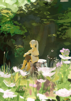 1girl art_study black_pantyhose boots brown_boots capelet closed_mouth dress earrings elf flower frieren from_side green_eyes highres jewelry long_hair nature on_tree_stump pantyhose pointy_ears purple_flower rurikon sitting solo sousou_no_frieren tree twintails white_capelet white_dress white_flower white_hair