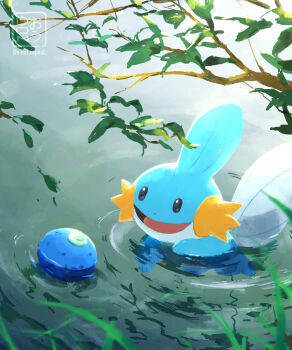 animal_focus berry_(pokemon) commentary_request food fruit gen_3_pokemon grass highres leaf mudkip nintendo no_humans nostrils ohdon open_mouth oran_berry pokemon pokemon_(creature) pokemon_focus ripples smile solo swimming water