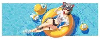 1girl absurdres adjusting_eyewear animal_ear_fluff arm_rest bikini black_bikini black_choker black_hair border cat_girl cat_tail chewing_gum choker cup drinking_glass eyewear_on_head from_above hair_ornament hairclip highres innertube knees_up letterboxed looking_at_viewer lying maro_(neneko_mashiro) medium_hair midriff navel neneko_mashiro o-ring o-ring_thigh_strap on_innertube partially_submerged pool red_eyes round_eyewear rubber_duck see-through_clothes see-through_shirt shirt sidelocks skindentation soaking_feet sseonyu stellive sunglasses swim_ring swimming swimsuit tail tail_around_own_leg thigh_strap virtual_youtuber water wet wet_clothes wet_shirt white_border