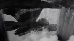 3d alien amputee animated anniversary antennae audible_music biollante brothers bug burning_godzilla butterfly caterpillar compound_eyes crack cracked_floor crossover cyborg destoroyah dinosaur dragon drill drill_hand dust fangs father_and_son film_grain fire_rodan flying gabara gem gem_on_head giant giant_monster giant_robot gigan godzilla&#039;s_revenge godzilla_(1954_movie) godzilla_(series) godzilla_2000:_millennium godzilla_against_mechagodzilla godzilla_vs._biollante godzilla_vs._destoroyah godzilla_vs._gigan godzilla_vs._hedorah godzilla_vs._king_ghidorah godzilla_vs._mechagodzilla godzilla_vs._mechagodzilla_ii godzilla_vs._megalon_(1973) godzilla_vs._mothra godzilla_vs._spacegodzilla hedorah highres hydra insect jet_jaguar kaiju king_caesar_(godzilla) king_ghidorah king_kong_(series) king_kong_vs._godzilla kiryu_(godzilla) mandibles mecha mecha-king_ghidorah mechagodzilla megalon metal_wings minilla moguera monochrome monster moth mothra mothra_vs._godzilla multiple_heads no_humans nuclear_reactor open_mouth prosthesis prosthetic_head prosthetic_wing pteranodon pterosaur roaring robot rodan sea_monster sharp_teeth shin_godzilla siblings silhouette slime_(creature) smoke solar_panel_wings son_of_godzilla sound space_monster spacegodzilla spikes steam stinger tail teeth the_return_of_godzilla toho tusks video wings