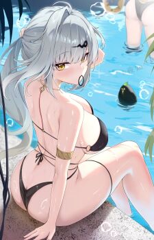 2girls alternate_costume alternate_hairstyle arm_support armlet ass bikini black_bikini blush breasts butt_crack gold_armlet green_eyes grey_hair highres ju_fufu large_breasts long_hair looking_at_viewer looking_back mihoyo multiple_girls night_known o-ring o-ring_bikini o-ring_top poolside sideboob sitting solo_focus swimsuit tail thigh_strap thighs tiger_tail wading water wet yixuan_(zenless_zone_zero) zenless_zone_zero