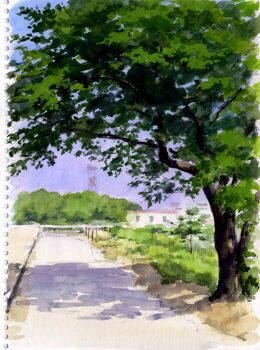 absurdres blue_sky building day forest grass highres hill masuyama_osamu nature no_humans non-web_source original painting_(medium) path road scenery shadow sky sunlight traditional_media tree_shade watercolor_(medium)