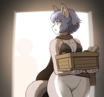 1girl animal_ears auraru_to_hikari_no_ryuu_gathering_light bikini bikini_top_only black_bikini black_scarf box breast_rest breasts commentary_request cowboy_shot furry furry_female grey_hair holding holding_box large_breasts looking_afar looking_back open_mouth purple_eyes scarf shirosato short_hair solo swimsuit uruve wolf_ears wolf_girl