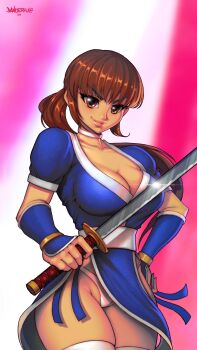 breasts brown_eyes brown_hair cleavage danderfull dead_or_alive highres kasumi_(doa) large_breasts lips long_hair looking_at_viewer panties pelvic_curtain short_sleeves sword thighhighs underwear weapon
