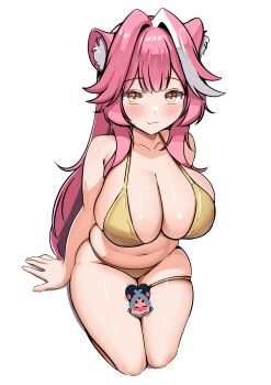 1girl absurdres animal_ear_fluff animal_ears asphyxiation between_thighs bikini blush breasts cat_ears cat_girl chattino_(raora_panthera) cleavage closed_mouth collarbone curvy gold_bikini hair_intakes highres hololive hololive_english kneeling large_breasts long_hair looking_at_viewer navel panpanmc4 pink_hair plump raora_panthera simple_background skindentation solo stomach swimsuit very_long_hair virtual_youtuber white_background yellow_eyes