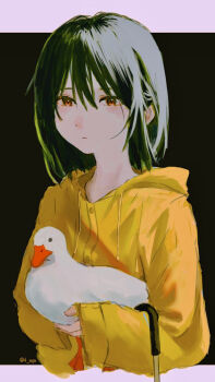 1girl animal bird black_hair closed_mouth commentary dark_background duck elbow_carry expressionless hands_up highres holding holding_animal hood hood_down letterboxed looking_at_viewer medium_hair original outside_border raincoat red_eyes sidelighting solo twitter_username upper_body uqu yellow_raincoat